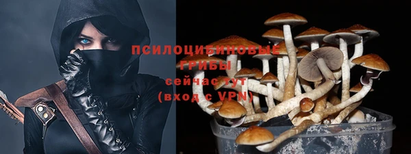 PSILOCYBIN Рославль